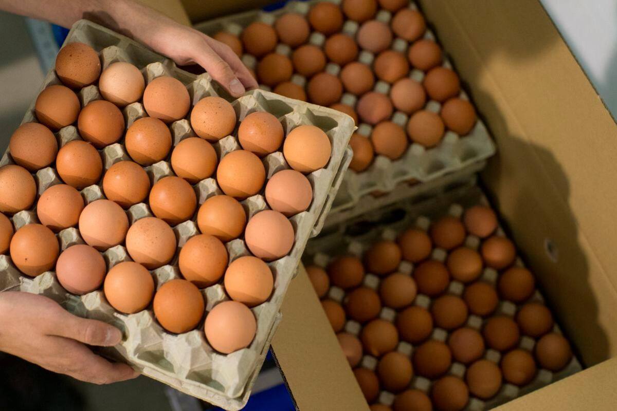 ¡Promoción Carrasquilla! Solo por hoy venden a $1.800 la docena de huevos