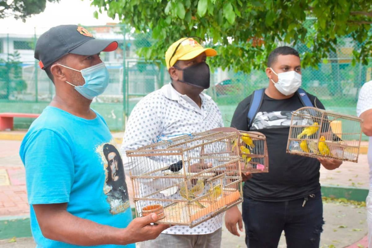 Realizan jornada de entrega de animales silvestres en cautiverio