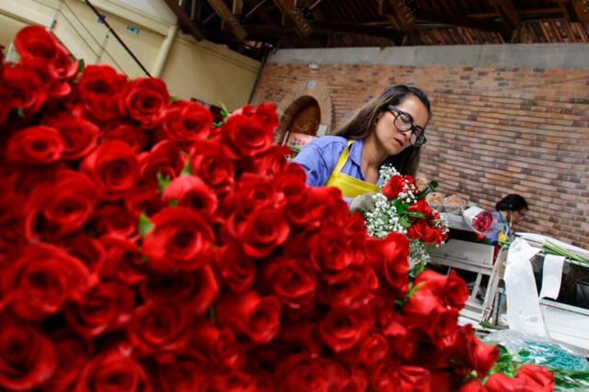 Colombia espera exportar 650 millones de tallos para San Valentín