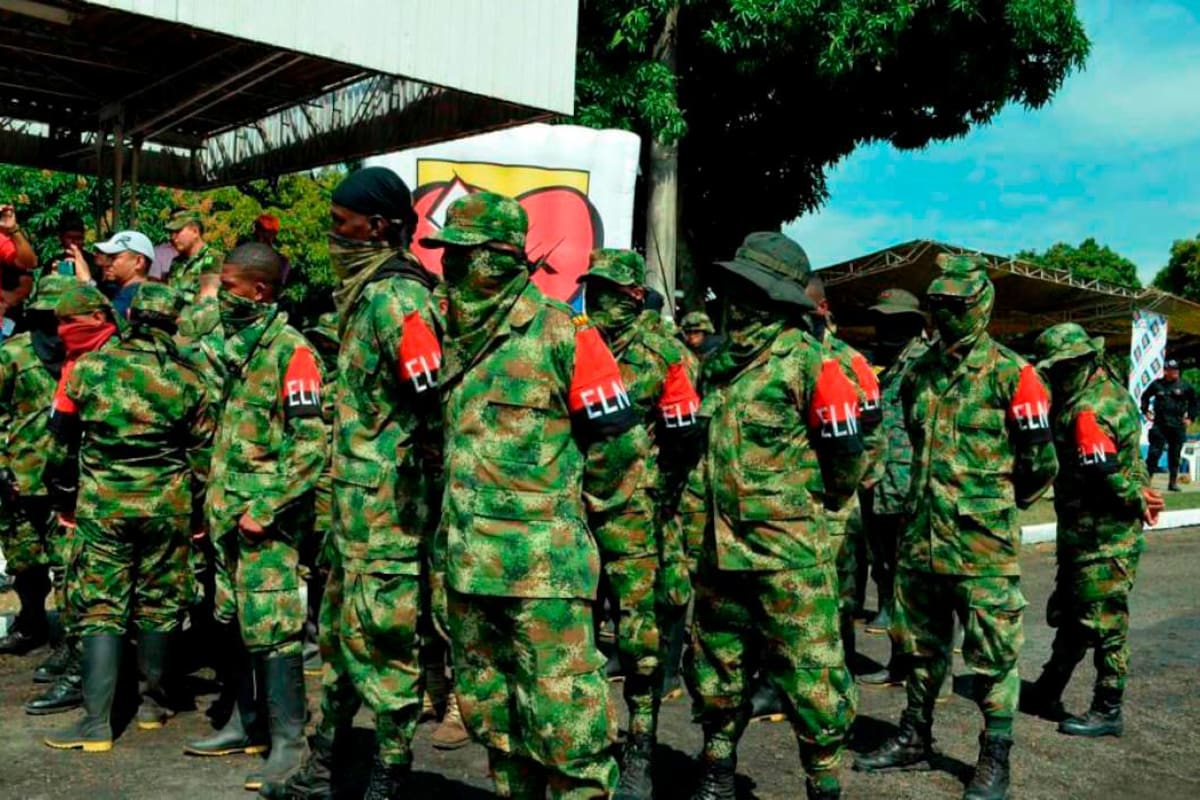 ELN suspende actividades ofensivas de cara al cese al fuego bilateral