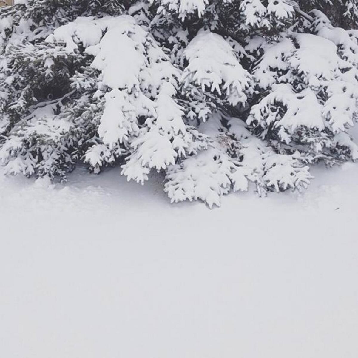 INSTAGRAM - ANDREWKNAPP