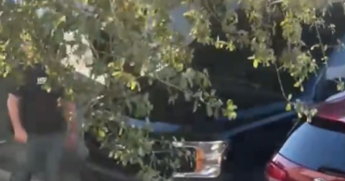 Activista Beto Coral habría sido detenido: difunden video del procedimiento