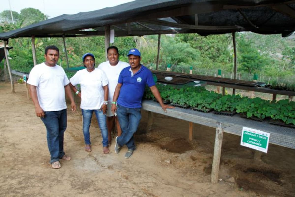 Asotigre beneficia a 17 familias de Bajo del Tigre. LUIS EDUARDO HERRÁN - EL UNIVERSAL