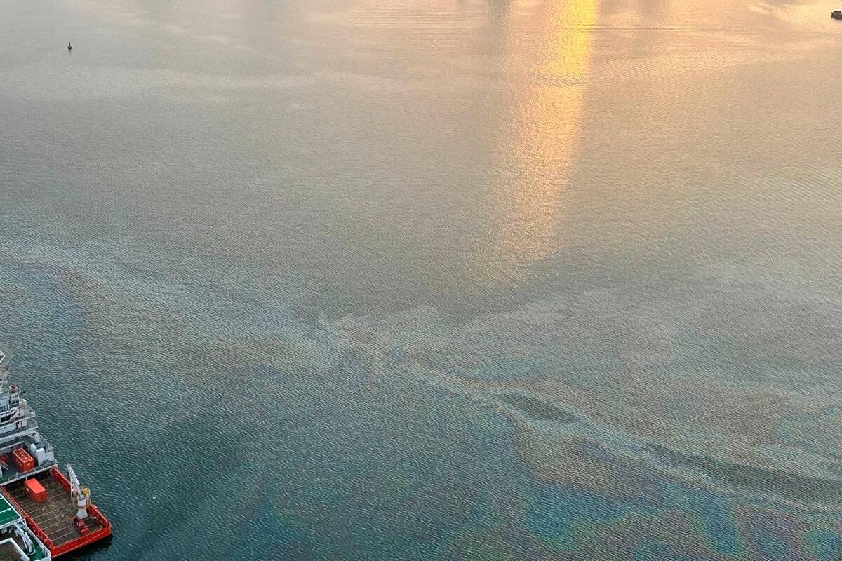 ¿Derrame accidental? Dimar se pronuncia sobre extraña mancha en la bahía