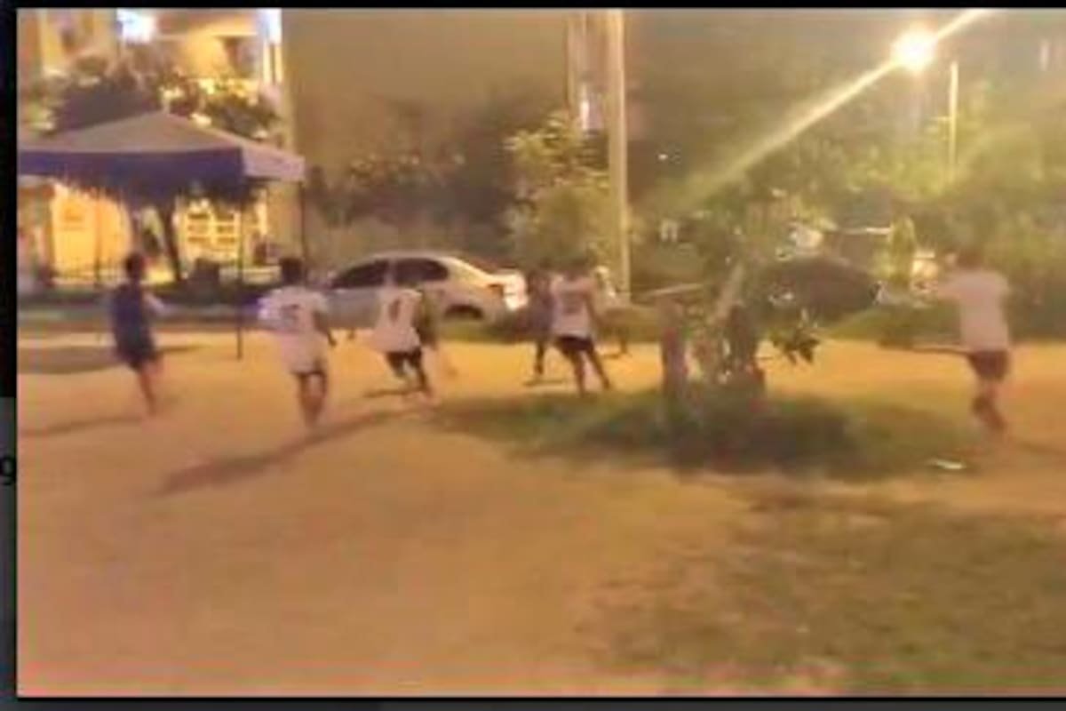 Les sembraron un árbol en el centro de la cancha, ¿prevención o egoísmo?