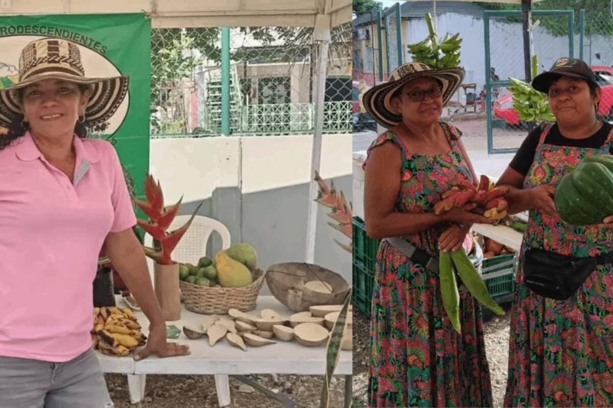 ¡Al mejor precio y directo desde el campo! Llega a Manga el Mercado Campesino