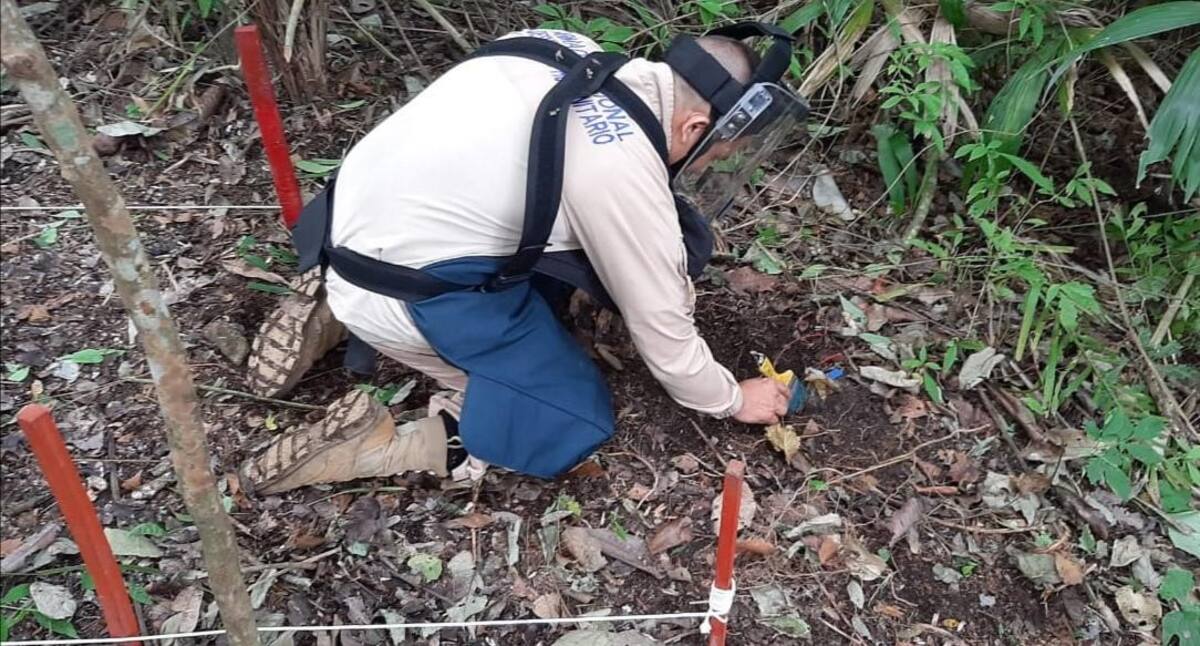 Ahora, sus propietarios podrán nuevamente cultivar.