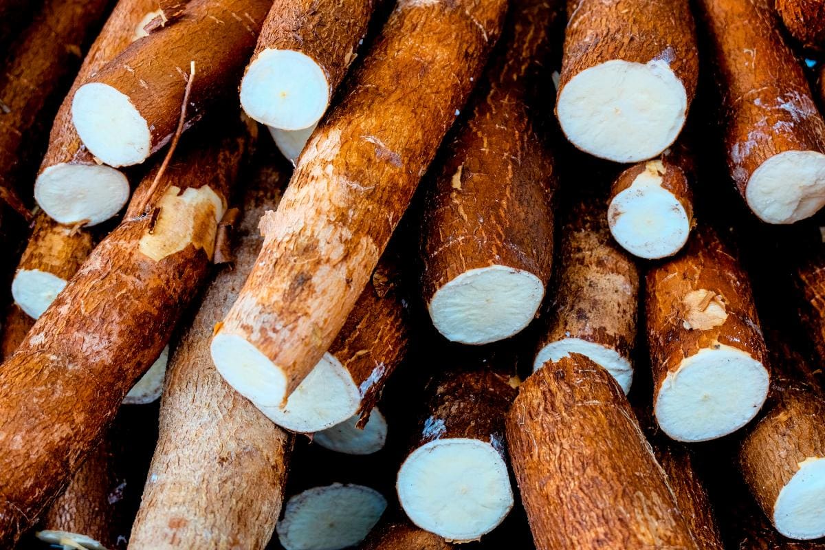 ¡Parecen inofensivas! 8 plantas y frutas que pueden ser venenosas y mortales