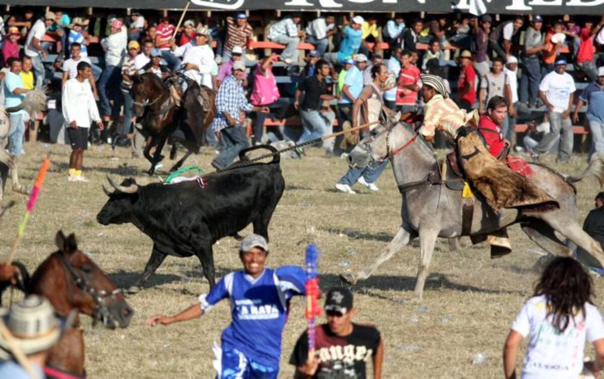 En Sincelejo no habrá corralejas el próximo año. ARCHIVO