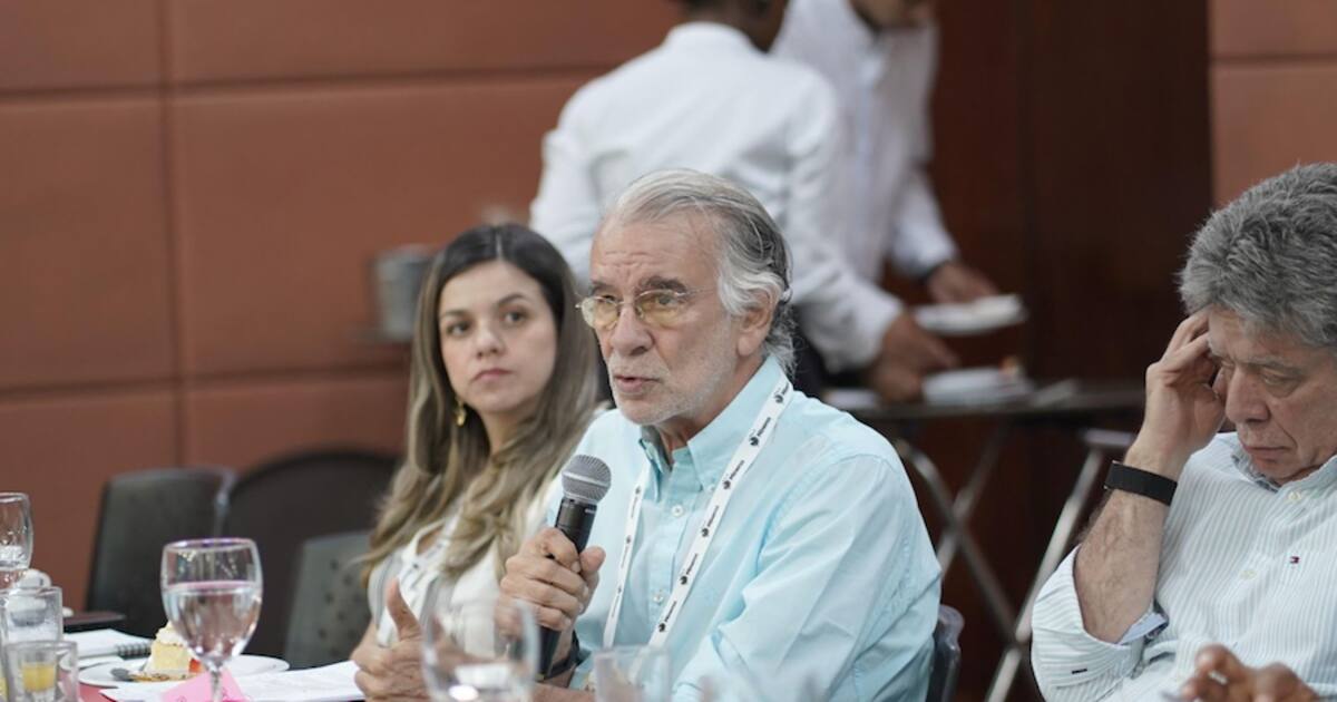 The electrical system is poorly designed and favors generators: Verano