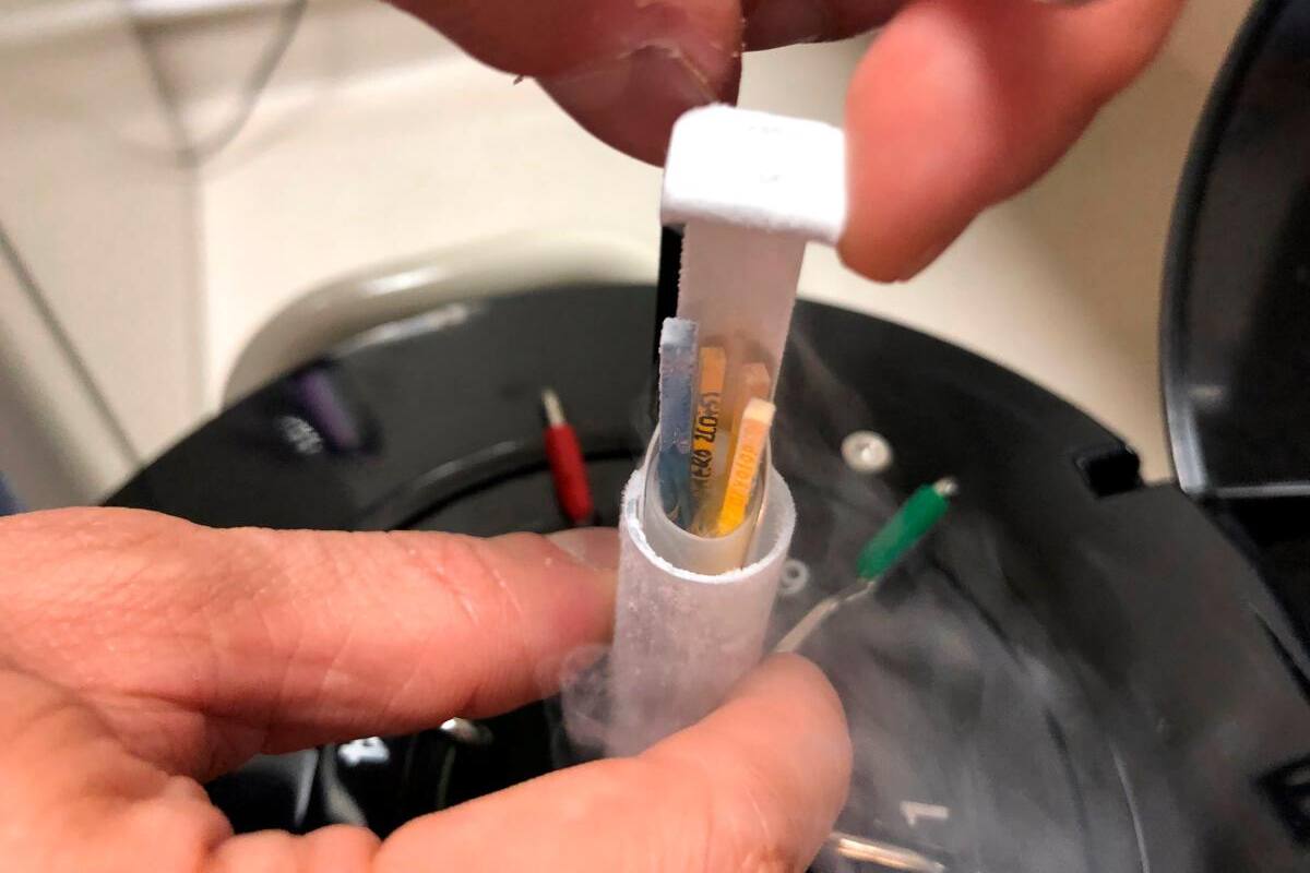 Reproducción asistida: óvulos vitrificados mantienen su calidad