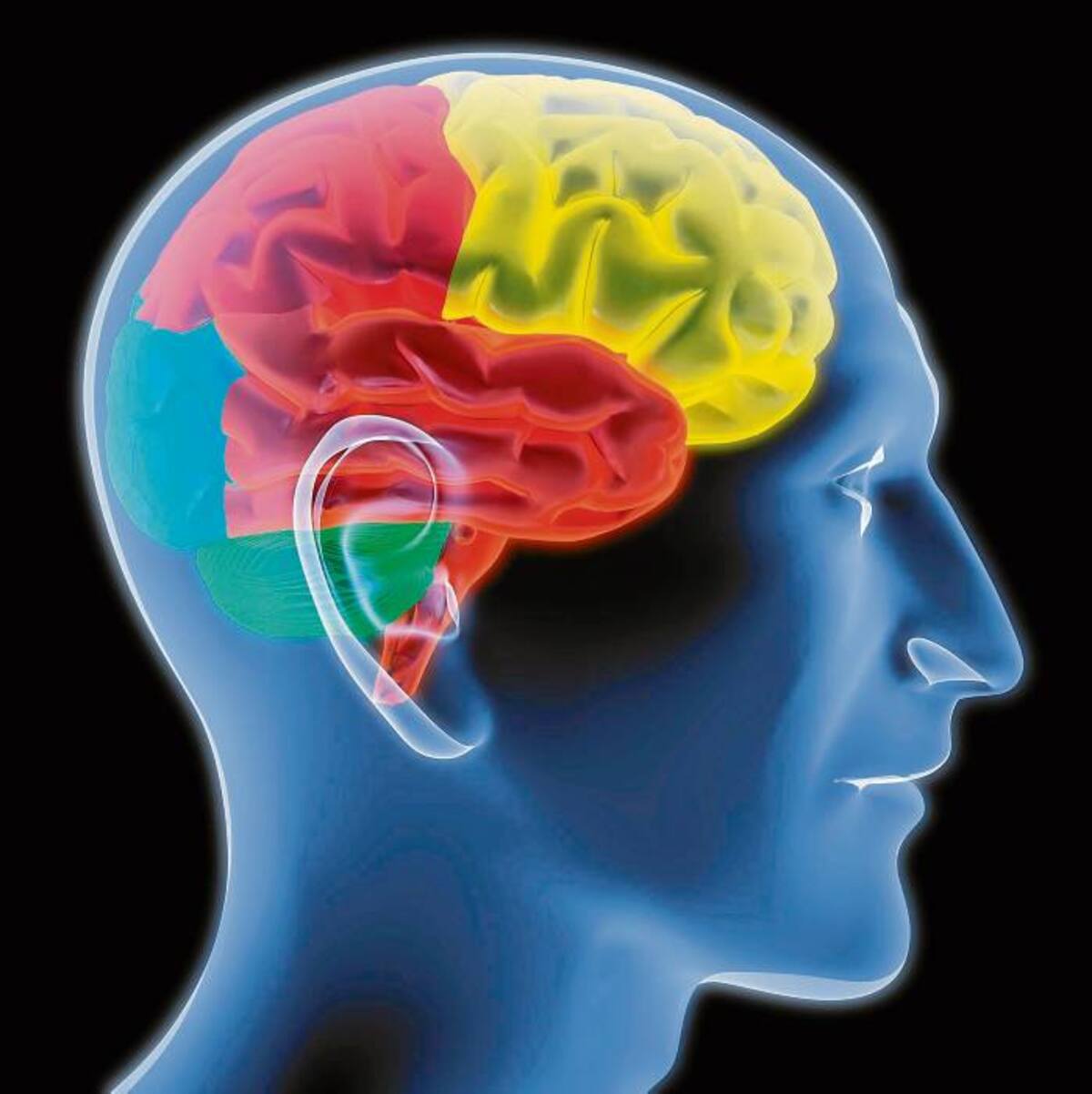 Neurofeedback es una terapia de 30 minutos y cada persona tiene su tiempo dependiendo del diagnóstico.