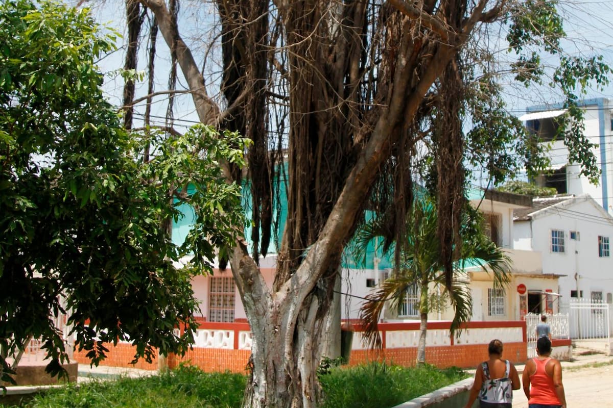 En el barrio Nuevo Bosque quieren evitar una tragedia