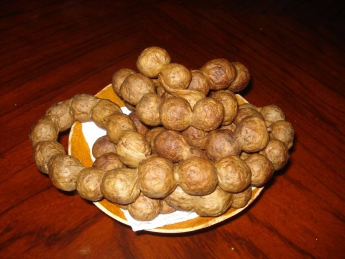 Butifarra momposina.