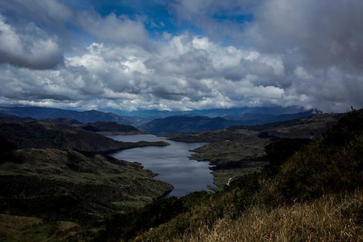 “Colombia ya ha ganado $1,3 billones por el mercado de carbono”