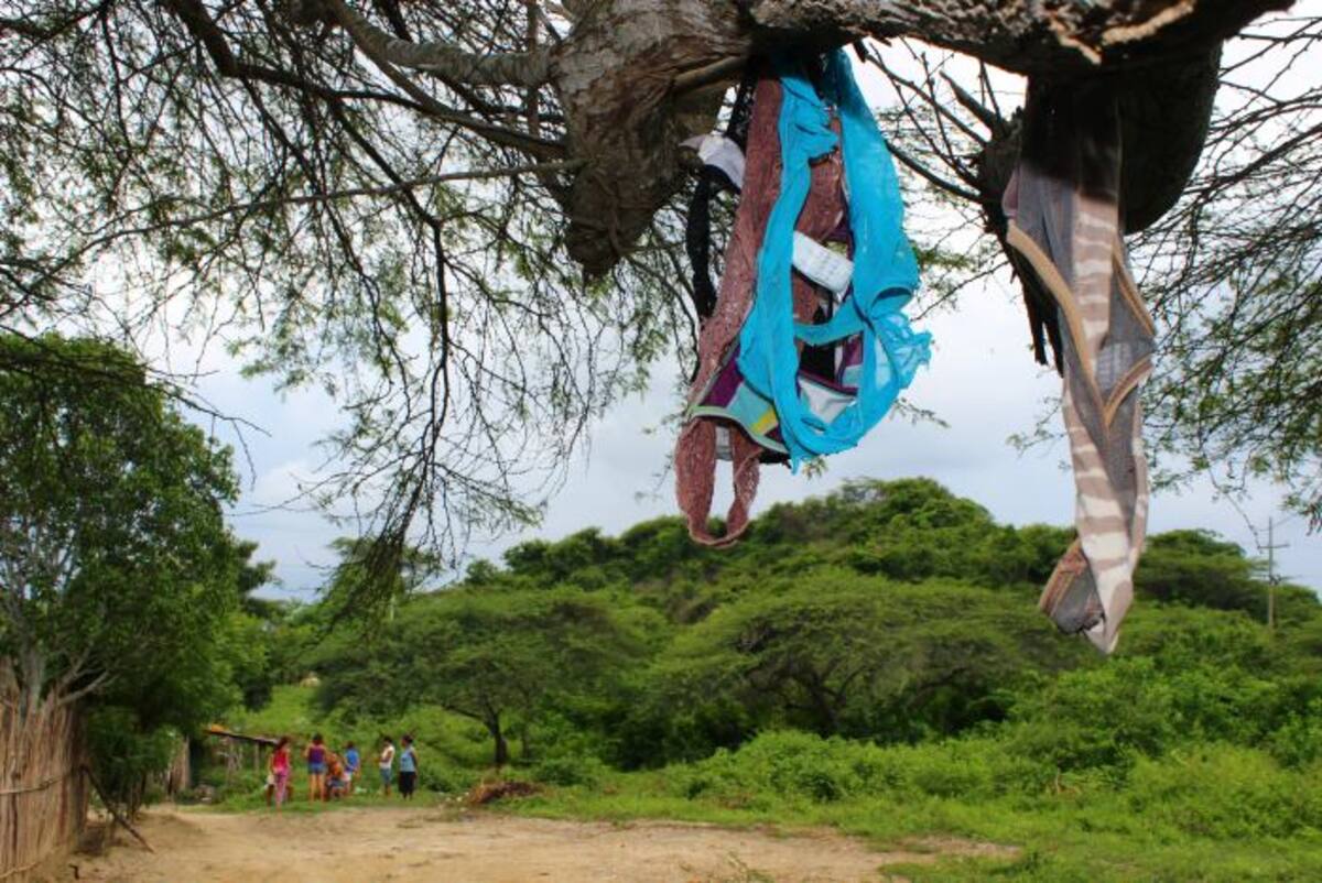 La ropa interior aparece colgada en árboles en las afueras del pueblo. SATURNINO VASQUEZ/QHUBO BARRAQUILLA