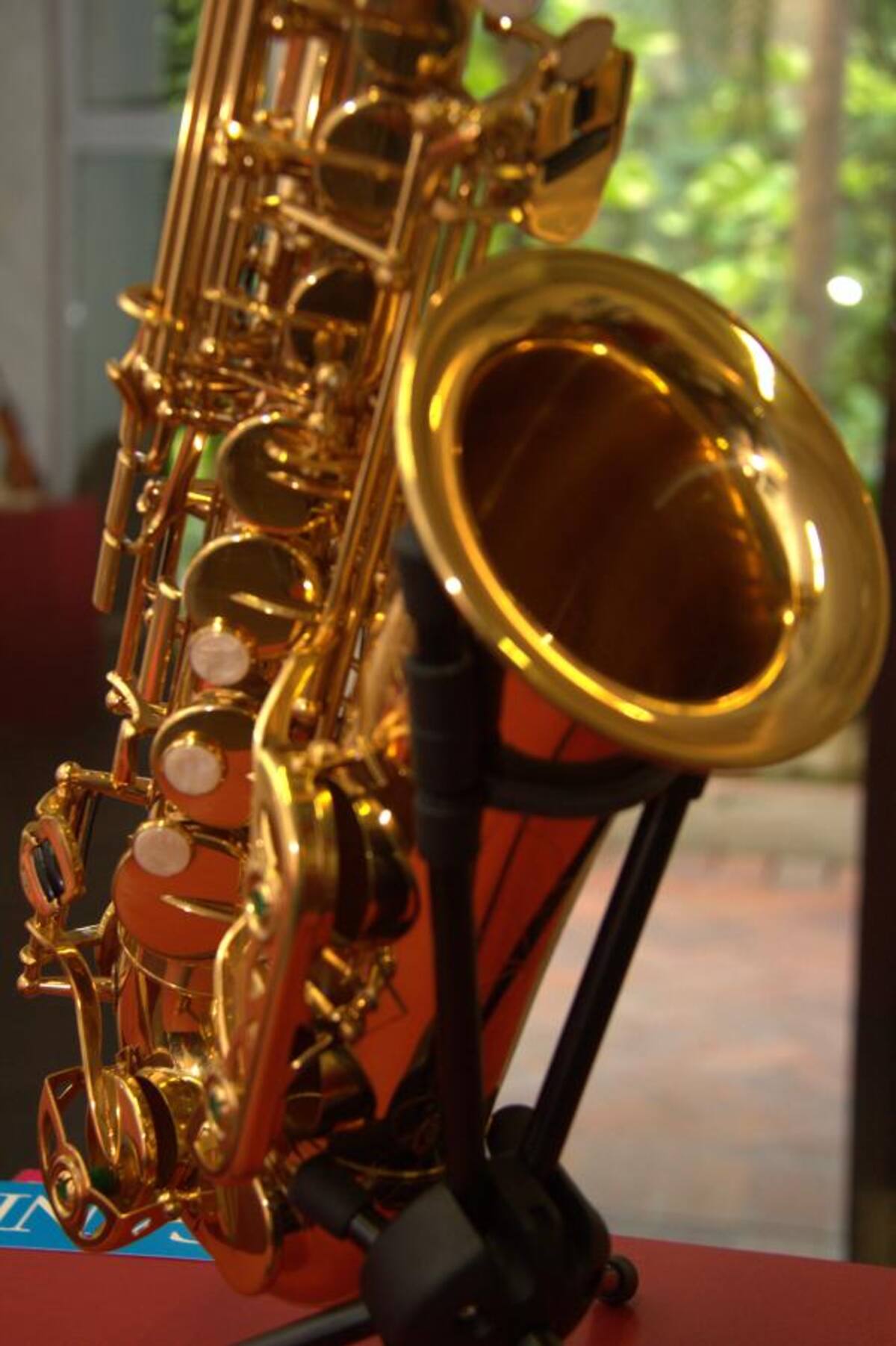 Exposición de instrumentos italianos - ITA // Luis Herran