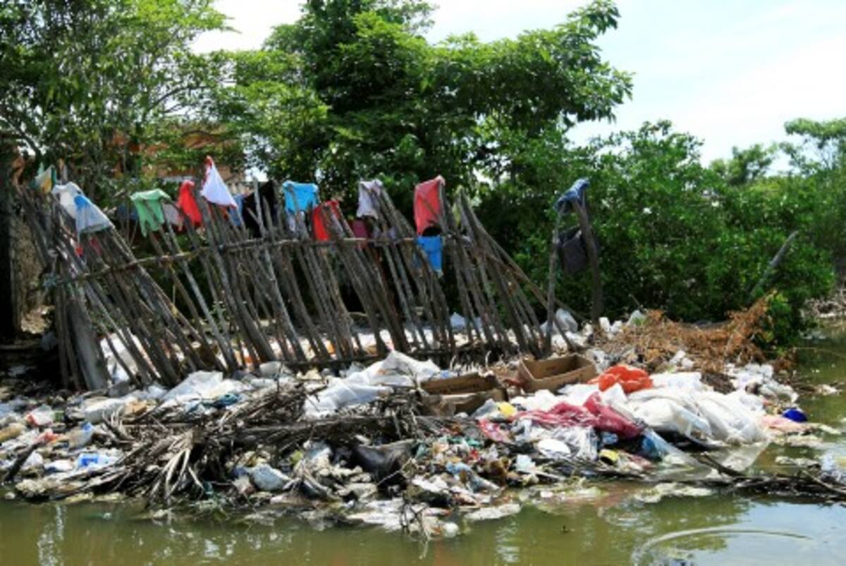 El relleno indiscriminado de la Ciénaga de la Virgen y la contaminación de basuras y aguas servidas amenazan con acabar la vida en el cuerpo de agua.