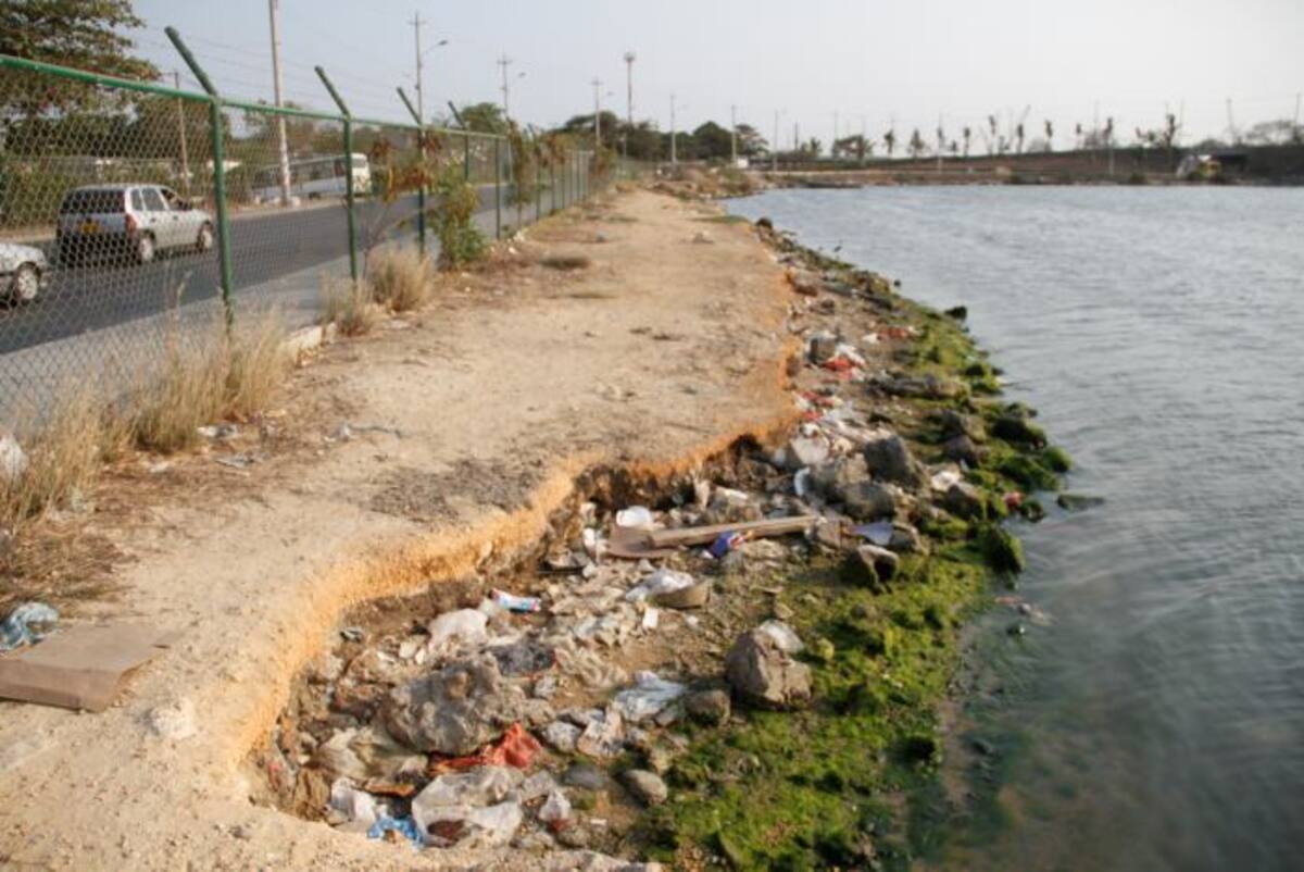 El daño ambiental en la Ciénaga de Las Quintas espera contrarrestarse con la desocupación del espacio y la disminución progresiva de basuras acumuladas en esta zona. //ARCHIVO - EL UNIVERSAL