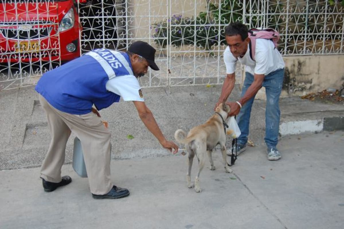 El Dadis ha intervenido con campañas de prevención en las zonas Cartagena donde existe mayor población de perros y gatos, es decir en la Localidad 1 Histórica y del Caribe Norte y los corregimientos. CORTESÍA