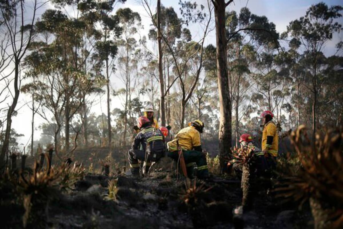 El panorama del fenómeno de El Niño en Colombia: varias regiones afectadas