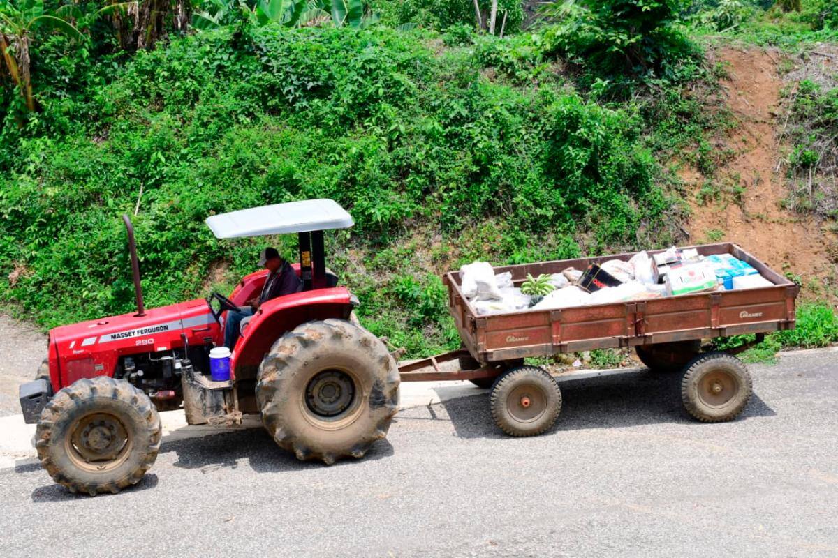 Del Carmen de Bolívar provienen los productos agrícolas que ayudarán a varias familias de la ciudad.