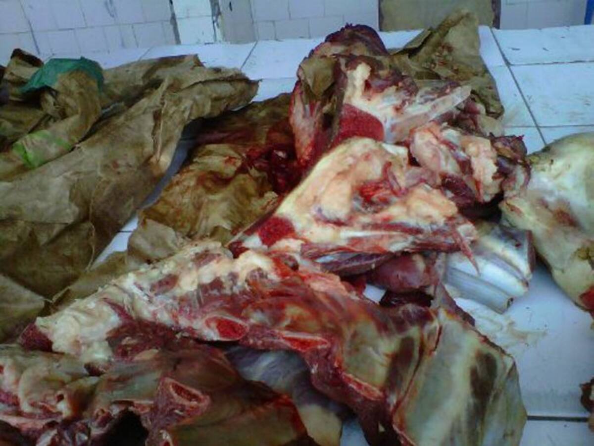 Decomisan carne de burro en Sahag'ún, Códoba CORTESÍA