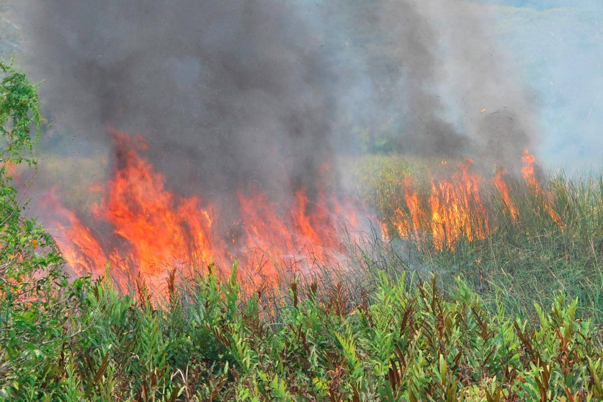 Alerta roja por probabilidad de incendios en Bolívar