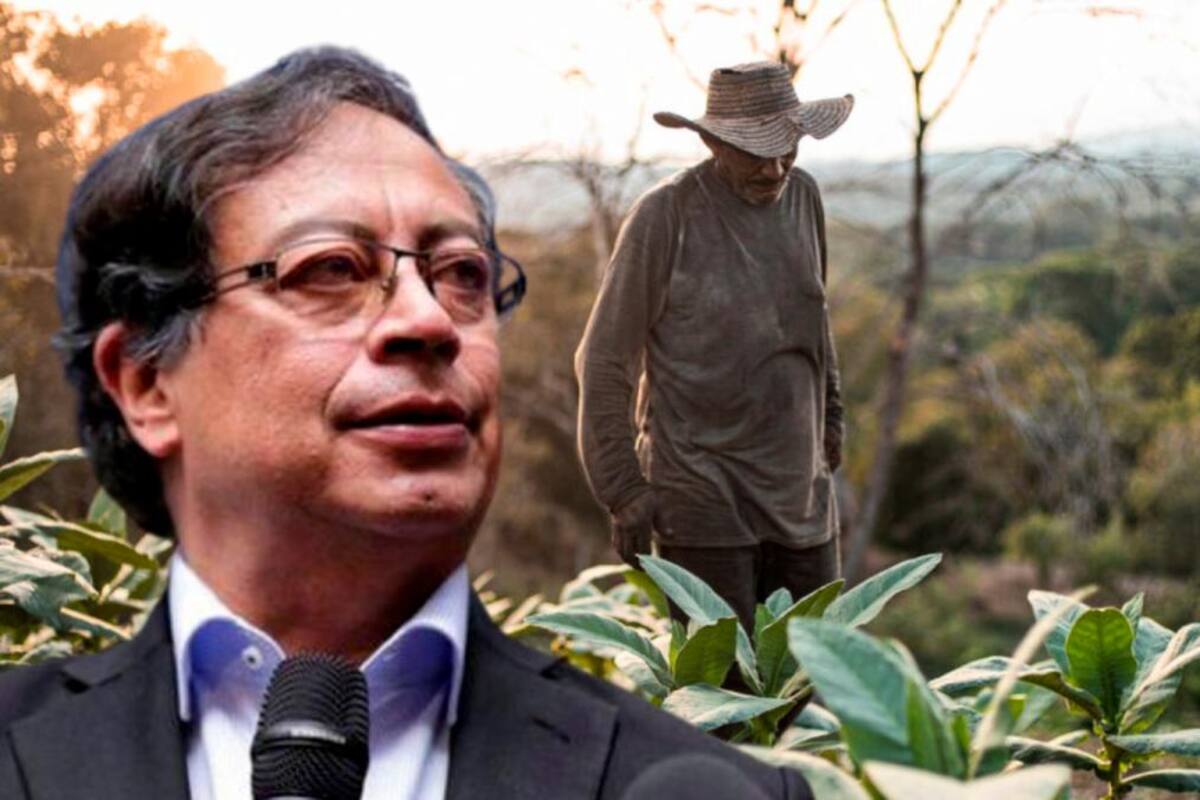 Petro entregará tierras a 272 familias campesinas en El Carmen de Bolívar