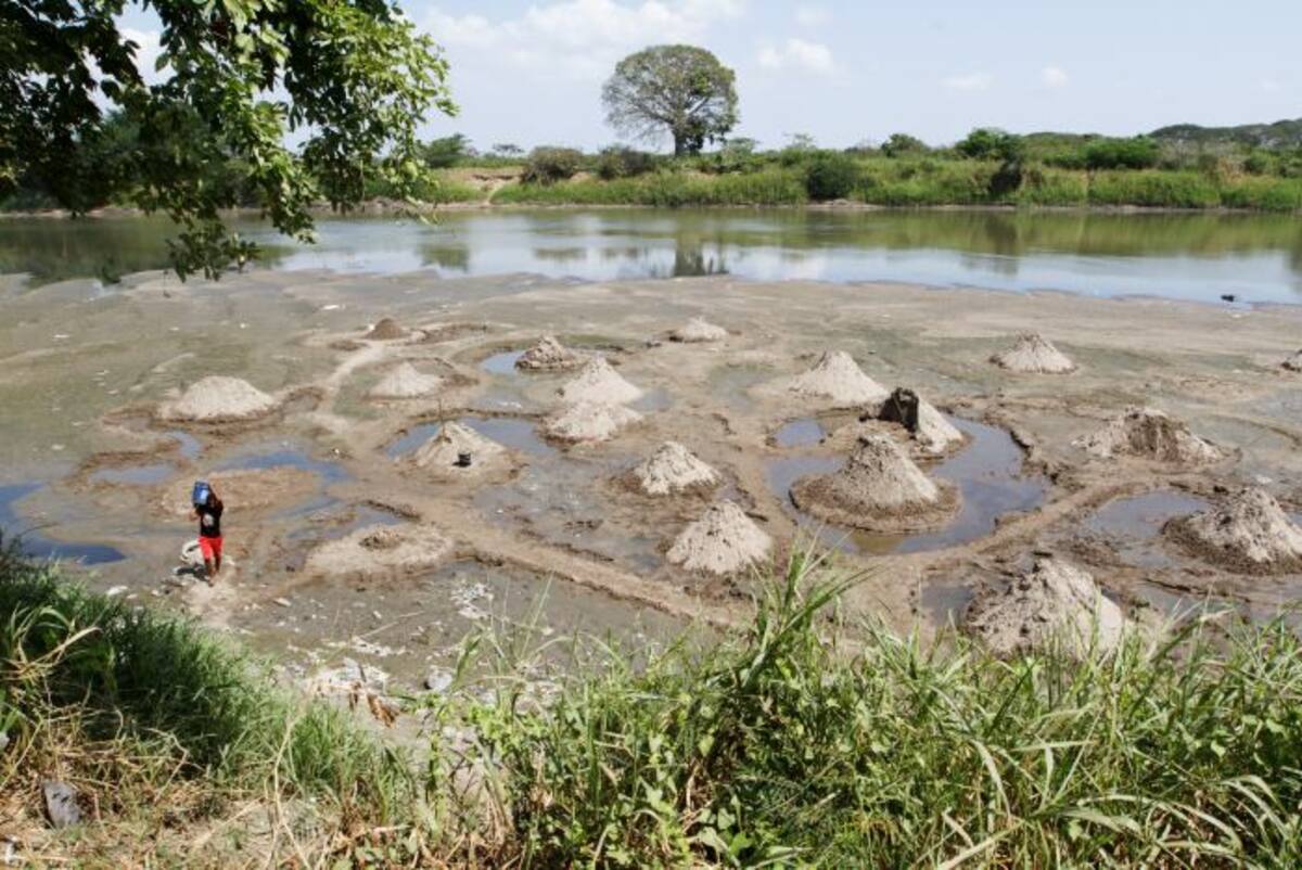En Mompox los hombres aprovechan para sacar pilas de arena y venderlas en las construcciones. El bajo caudal ha ocasionado también enfermedades, pues el agua no se filtra bien y llega sucia a las casas. //JULIO CASTAÑO-EL UNIVERSAL