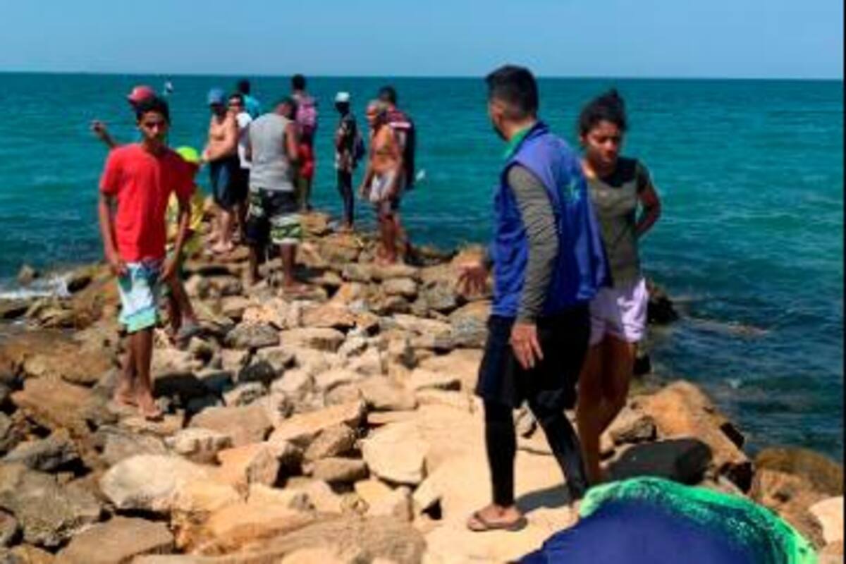 Caimán de playas de Coveñas habría sido alimentado con pollos