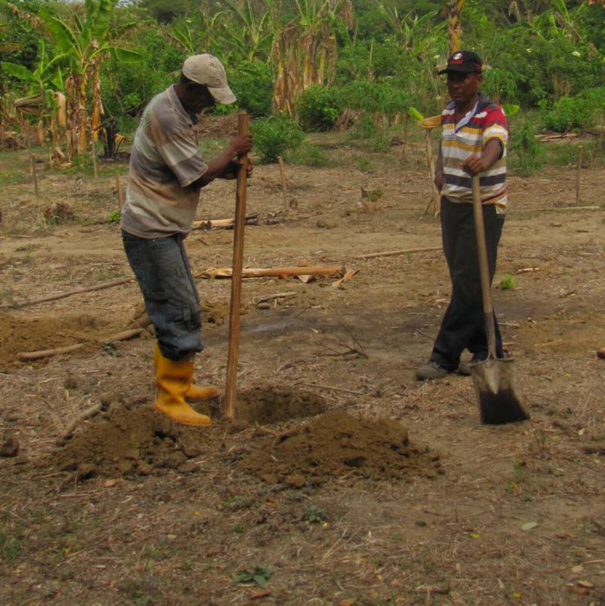 Agricultura Familiar tiene entre sus principales objetivos reducir la pobreza del sector rural pues con el fortalecimiento de las unidades productivas familiares, los campesinos mejorarán sus ingresos y por ende su calidad de vida. ARCHIVO