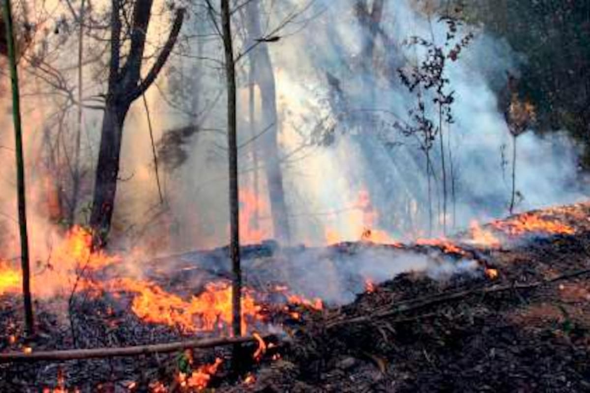 Más de 700 municipios en Colombia en alerta por amenaza de incendios forestales