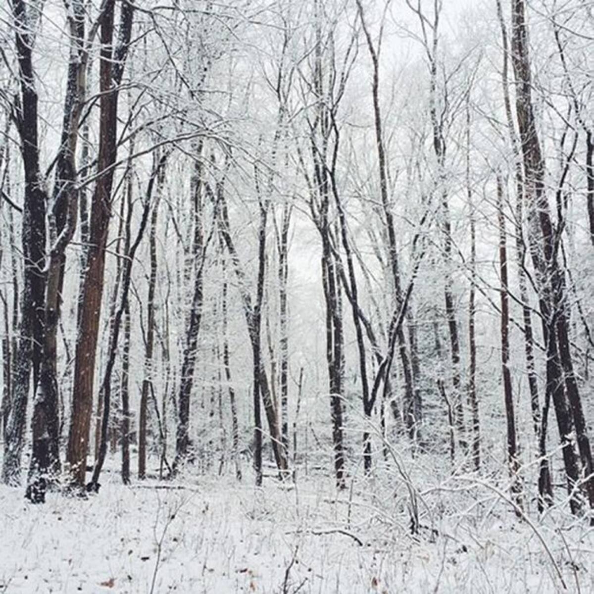 INSTAGRAM - ANDREWKNAPP