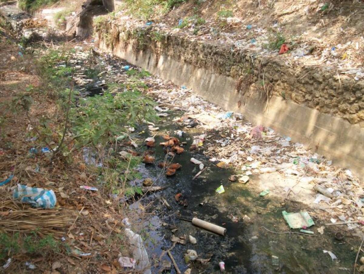 En varios sectores de Turbana se realizan trabajos para acabar con los criaderos de donde salen los mosquitos transmisores del dengue. Atilano Meza/ El Universal