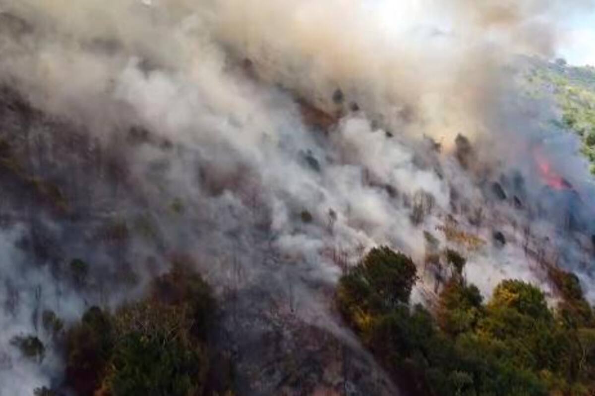 Video: grave incendio forestal en la autopista Floridablanca - Piedecuesta