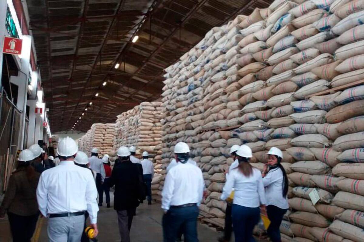 Crece participación del café importado en Colombia