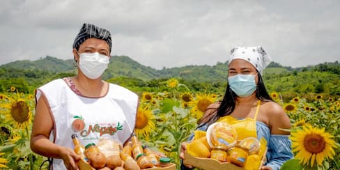 Este 17 y 18 de julio se llevarán a cabo en el Atlántico los Festivales del Níspero y el Mango