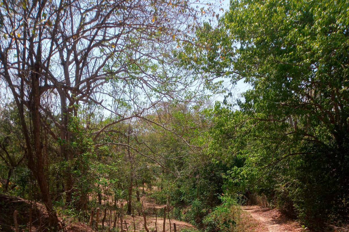 Habitantes de Turbana: sin agua por el mal estado de las vías