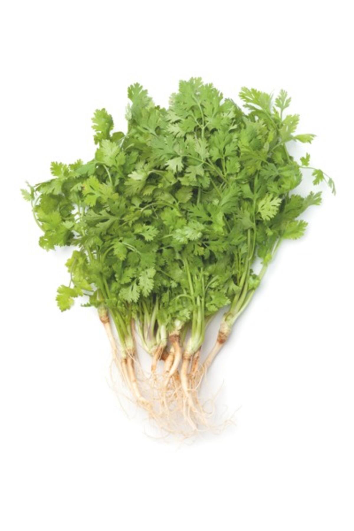 El cilantro tiene muchos beneficios, entre ellos el contenido de vitaminas A, K, B, C y E.