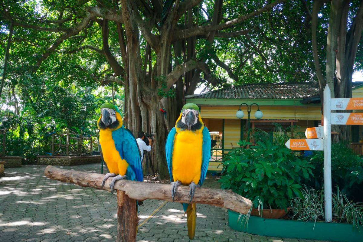 Port Oasis Eco Park abre sus puertas al público cartagenero y visitantes