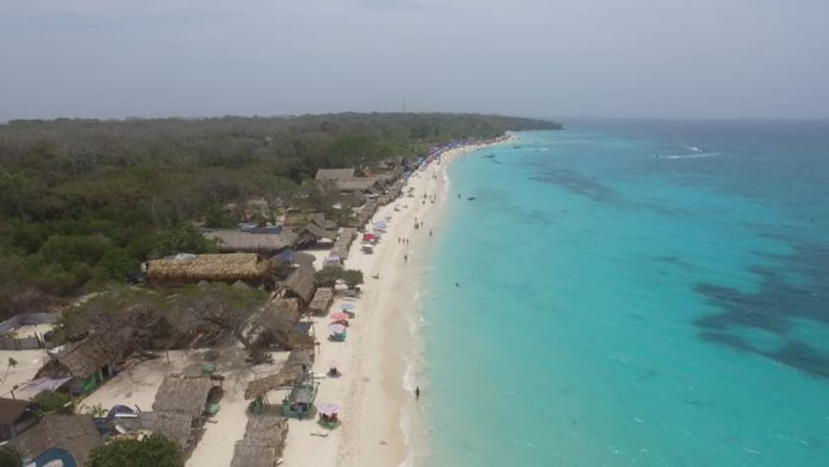 Junto a este sector de Barú está la plataforma arrecifal más grande del Caribe. Allí mismo van a anidar y desovar las tortugas carey, una especie en vía de extinción. El Universal