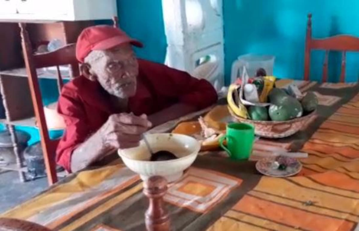 El popular Pío pío, como muchos le llaman, come de todo.//Foto: cortesía.