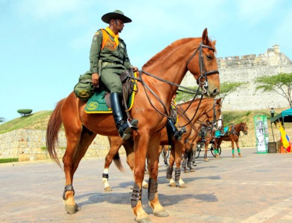 Inicialmente la Policía Metropolitana cuenta con 20 carabineros y 30 caballos, sin embargo Bogotá enviará 10 equinos más.