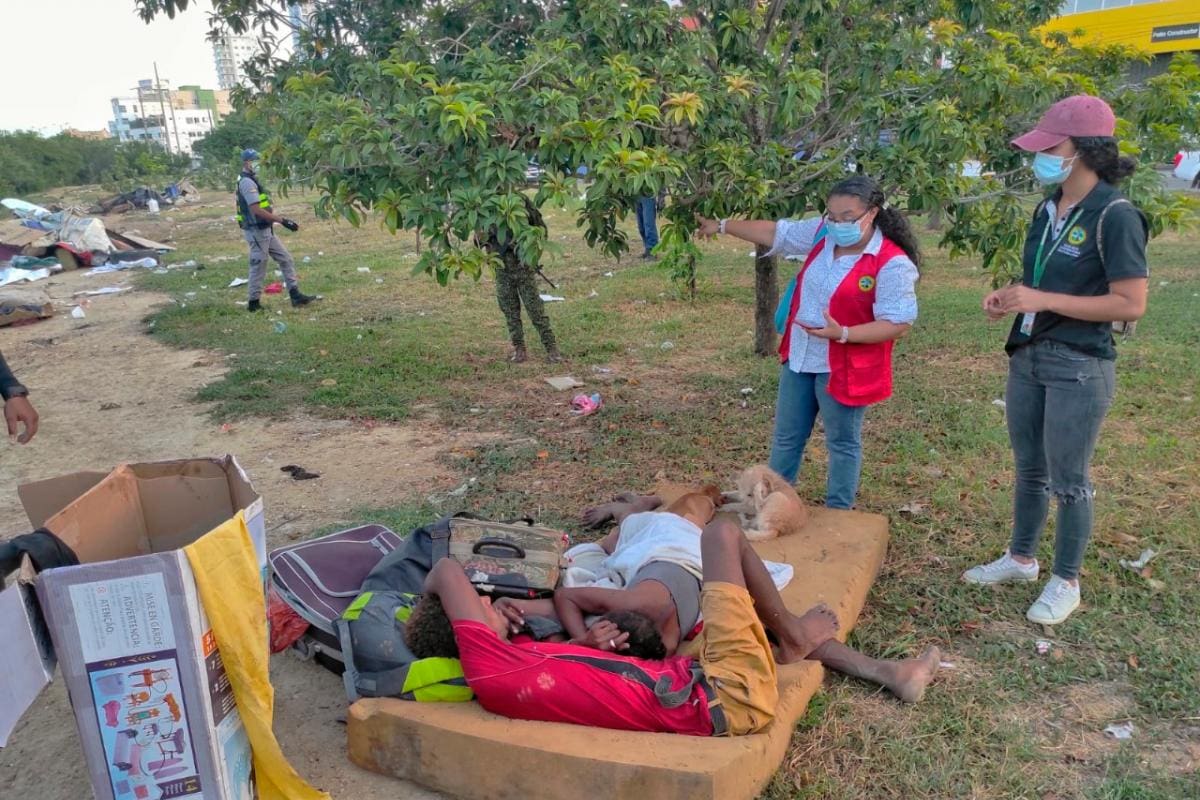 Destruyen ocho cambuches en zona de manglar en la Avenida del Lago