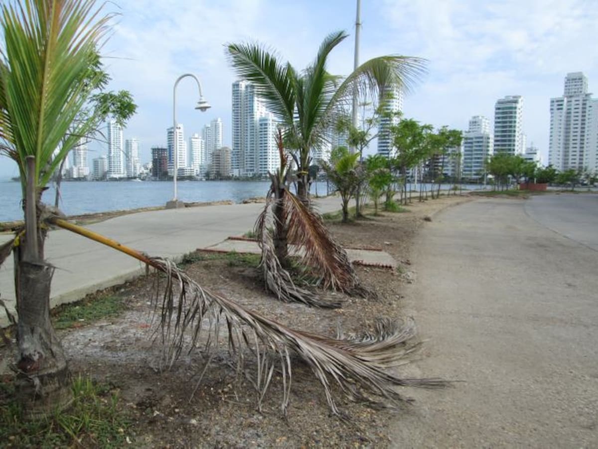 Paseo Peatonal de Bocagrande PEDRO TORRES, GENTE BAHÍA - EL UNIVERSAL