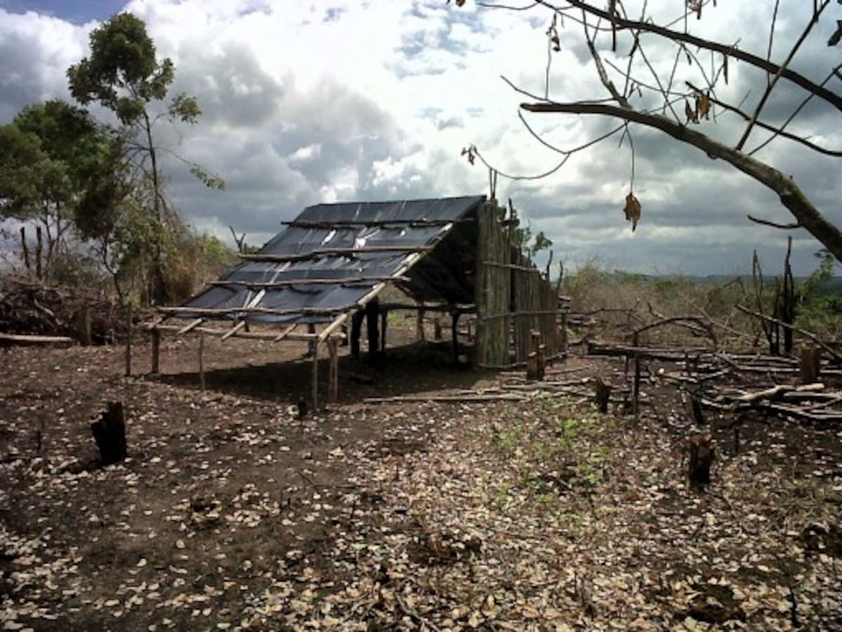 Los invasores se instalaron en el lugar hace 3 meses. Cada vez llegan más personas a ocupar ilegalmente las tierras. LILA LEYVA - EL UNIVERSAL