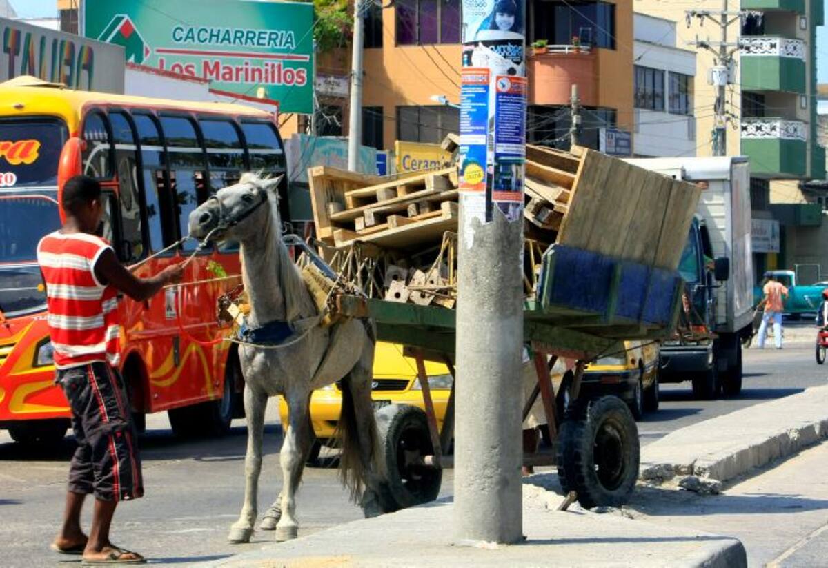 Aseo Urbano de la Costa hizo un llamado especial para meter en cintura a los carromuleros que diariamente arrojan de manera indiscriminada podas, escombros, inservibles y toda clase de residuos generando basureros satélites y para que la ciudadanía se abstenga de contratarlos. JULIO CASTAÑO - EL UNIVERSAL
