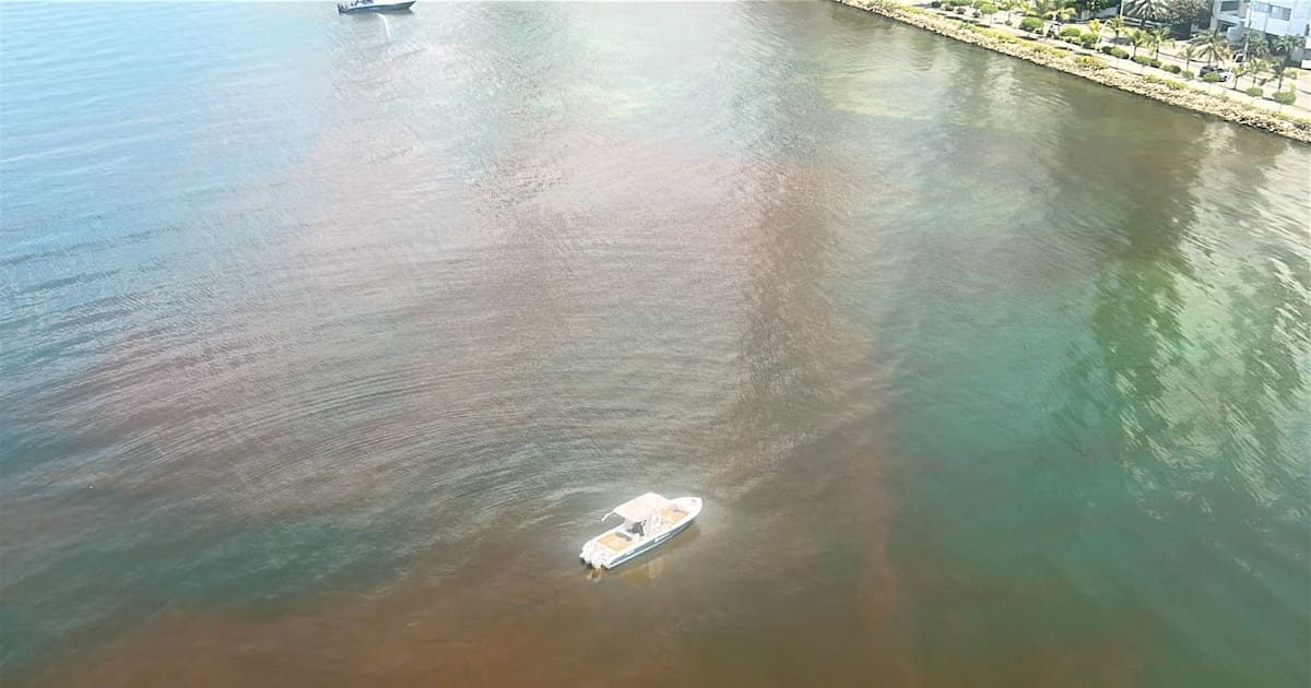 Strange stain reported in Castillogrande waters: authorities inspect the area