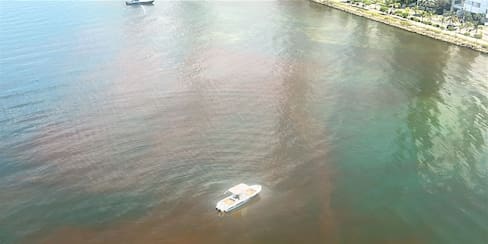 Reportan extraña mancha en aguas de Castillogrande: autoridades inspeccionan la zona